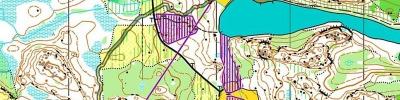 Jukola 2014